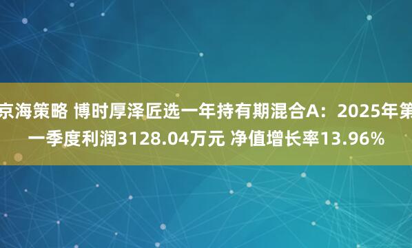 京海策略 博时厚泽匠选一年持有期混合A：2025年第一季度利润3128.04万元 净值增长率13.96%